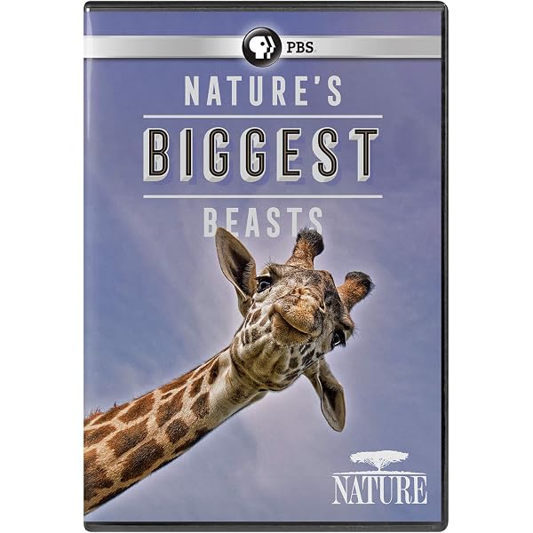 Amazon.com: Nature: Extraordinary Animals : F. Murray Abraham